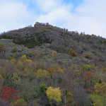 06-11-15 Puy-de-Dôme