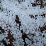 昆布茶やお茶漬け海苔のあられのよう