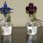 Flower (Red & Blue): 0.07 ltr