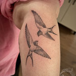 swallow birds tattoo fineline