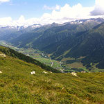 Blick ins Goms