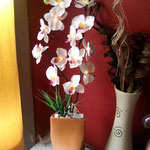 Florero Con Orquidea $ 490.00