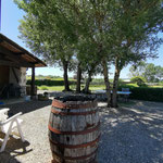 Accès et espaces extérieurs du gîte Le Pressoir /Au mas de Janita ©