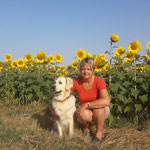 Se balader au coeur des champs de tournesols / Au mas de Janita ©