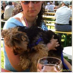 Oh Gott ist mir vom Bier schlecht 