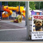 Mein Nebenjob in Kärnten ?? HaHaHa