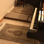 TABRIZ 　wool&silk FISH チャラクサイズ