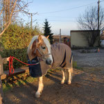 bei der Ankunft