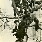 THE TRAVELLERS (boven in de boom Hans Valentin)
