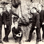 THE FASCINATIONS (Apeldoorn)