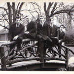THE FASCINATIONS (Apeldoorn)