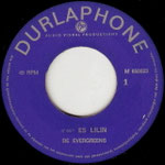 The Evergreens -  Es Lilin 