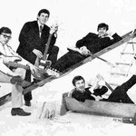 THE HOT STRINGS  1966 vlnr: Hans Marks - Hans Akkermans - Joop Meijers (liggend op ladder) - Jan Cosman (badkuip) - Rein Baggerman