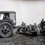 Westerhäuser Frauen auf dem Acker