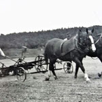 Landwirtschaft war der vorherrschende Broterwerb