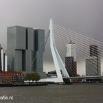 Rotterdam, Erasmusbrug