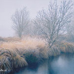 Winter in natuurgebied De Deelen.