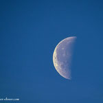 03.02.2024 - Am Morgenhimmel, der abnehmende Mond.....