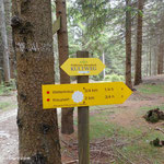 ....hier entschieden doch bis zum Floisenkogel zu wandern....
