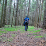 ....jetzt wieder nach Hause, durch die Bergwälder des Jogllandes.