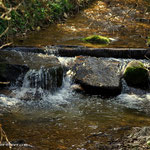 am Waldbach angelangt, die Ortsgrenze zu St. Jakob am Walde