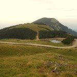 der neue Forstweg welchen man hier in die Landschaft geschlagen hat