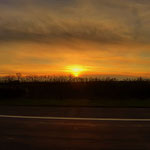 ....den Sonnenaufgang den habe ich heute auf der Autobahn erwischt und nicht wie üblich auf der Wildwiese.