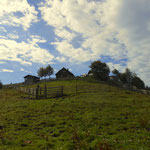 ...am Aufstieg zur Tyrnauer Alm