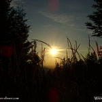 ....weiter oben noch einmal die Sonne eingefangen....