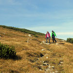 ein schöner Wanderweg