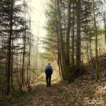 ein wirklich schöner Wanderweg