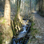 der letzte Kilometer bis zur Quelle, endlich im Wald