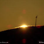 07.01.2022 - Standort: "Raschlwies'n", Sunrise im Joglland.....