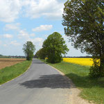 ein Blick zurück, auf die letzte Gerade bevor es nach Lutzmannsburg geht