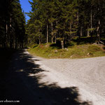 ....von links kommt  der Weg von der "Moaralm" und rechts führt der Weg zur "Schaunitzalm".....