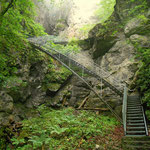 ein Blick zurück, zum Zustieg zur Tropfsteinhöhle, bzw. der Weg nach Lackenhof