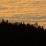 .....Nebeldecke über dem Pöllauertal, die Wallfahrtskirche von Pöllauberg ragt aus dem Nebel heraus.