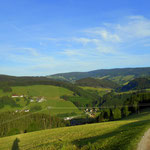 Tiefblick ins Feistritztal