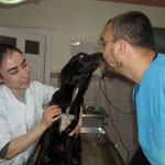 Hündin Fienchen, Gabis Tierschutz Antalya, Türkei