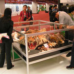 Präsentation von Konfiskaten der thailändischen CITES Vollzugsbehörde (CITES Vertragsstaatenkonferenz, Bankok 2004). (Sehen Sie dazu auch die Seite Artenschutz)
