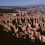 Einer der spektakulärsten Nationalparks der USA, der Bryce Canyon. Mehr Bilder in den Galerien USA I - IV.
