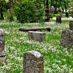 Friedhof. Irland