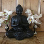 Orchidee met boedha