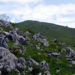 Le Pic de Teulère, au fond, vu depuis Ourdinse.