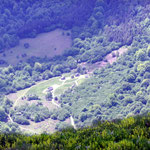 Les chalets d'Issaux au milieu de la forêt du même nom.