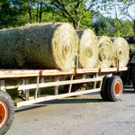 Abtransport der Ballen