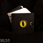 Monster eye mini book