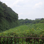 名古屋城　二之丸東面石垣と東門から北方向の空堀
