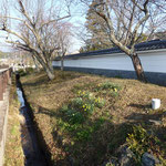 松岡城（茨城県松岡市）松岡小学校の復興土塀と土塁
