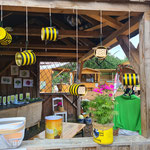 Bild: LFV Hessen